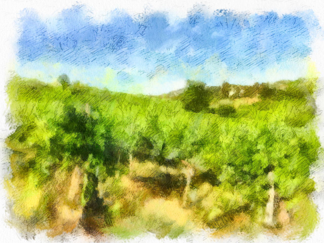 TuscanSeries-1152.jpg