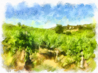 TuscanSeries-1152.jpg